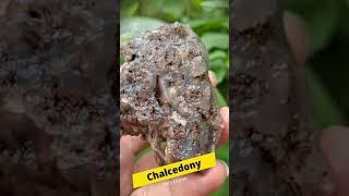 Chalcedony Rock Cluster | Vetal Tekdi Pune #Shorts