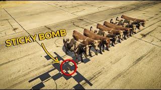 GTA 5: How many Animals can 1 Sticky Bomb kill.