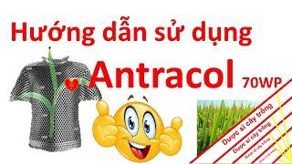 Antracol cách sử dụng trên từng loại bệnh hại và cây trồng | Bayer Cropscience | thuốc trừ bệnh