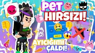 PK XD PET HIRSIZININ PARTİSİNE GİTTİM!  AYICIĞIMI ÇALDI!  ||NazYT||