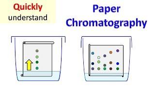 Paper Chromatography