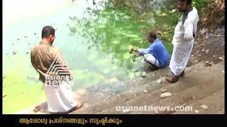 Blue-green algae found in Chaliyar River : ചാലിയാര്‍ പുഴയിലേത് ബ്ലൂ ഗ്രീന്‍ ആല്‍ഗയെന്നു സംശയം