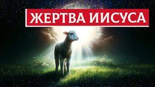 Жертва Иисуса | Раввин Михаил Финкель