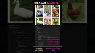 Dynamic Image Gallery 2 | Creative Image Gallery Design