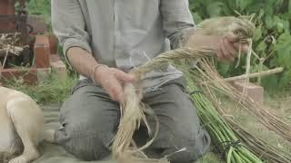 Nettles for Textiles!