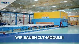CLT and KVH timber modules 🪵 We explain the difference | MOD21