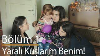 Yaralı kuşlarım benim! - Kanatsız Kuşlar 1. Bölüm