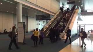 Stair vs. Escalator Use at Massive Obesity Experts' Conference