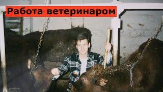 Где может работать ветеринар? Стоит ли учиться на ветеринара?