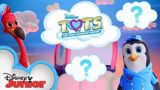 T.O.T.S Crate Surprise! | Compilation | Disney Junior