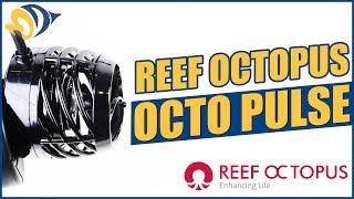 Octo Pulse Pumps by Reef Octopus: What YOU Need to Know