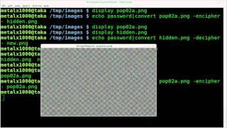 Encrypting Images with ImageMagick   BASH   Linux