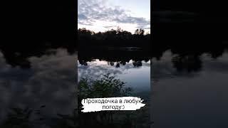 Практика "Проходочка "