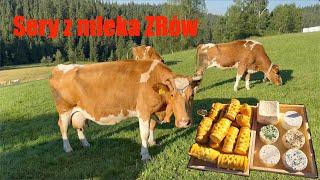 Produkcja serów z mleka krów Polskich Czerwono-Białych