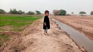 Behnam Baloch at Zari farm | Funny Baby | Funny life | Behnam,s world