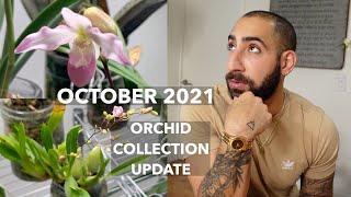 October 2021 Orchid Collection Update