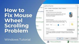 How to Fix Mouse Wheel Scrolling Problem (Easy Tutorial)