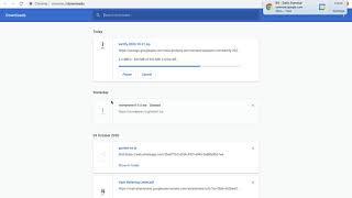 See a list of files you have downloaded in Chrome | View Download files in Chrome