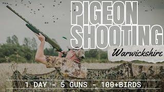 Pigeon Shooting - Warwickshire UK -  Decoying 100+ Birds Over Wheat - 3 New Shotguns for 2024