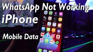 How To Fix WhatsApp Not Working in Mobile Data iPhone