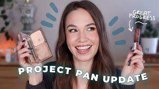 Project Pan - Update 1 | Year Long Rolling Project 10 Pan