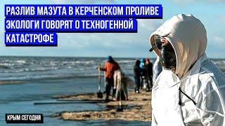 рушение танкеров РФ в Черном море: гибнут дельфины, мазут может дойти до Азовского моря