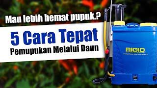 MAU LEBIH HEMAT PUPUK? 5 CARA TEPAT PEMUPUKAN MELALUI DAUN.