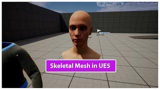 Skeletal Mesh in Unreal Engine 5 (Part 16)