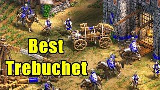 Searching for the Top Trebuchet | Age of Empires 2