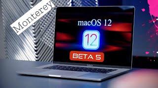 macOS Monterey 12 Beta 5 is Out! - What's New?