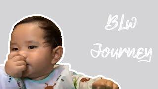 Rasuf's BLW Journey @ 7 months