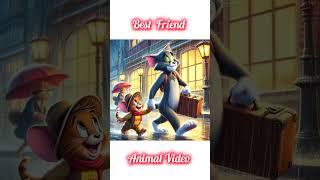 Animal video // cat videos # women very video # cartoon cet video  dosti video 