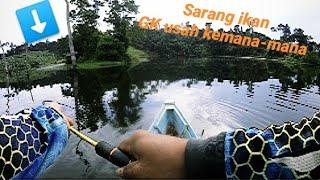 Nggak Pindah-Pindah Ikannya Ngumpul Disini || Ultra Light Fishing || Predator Danau Kalimantan