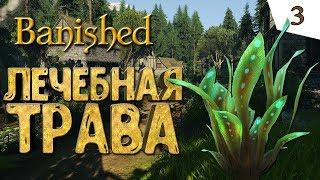 ЛЕЧЕБНАЯ ТРАВА #3 Banished прохождение на русском