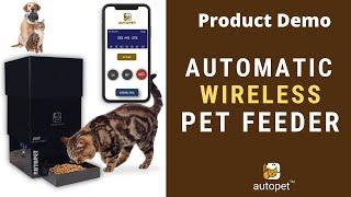 Autopet  Demo | Wireless Smart and Advance Automatic Cat Dog Feeder | C20 C50 D20 D50
