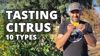 TASTING CITRUS FRUIT | 10 Types of Citrus - All Grown in ONE Yard | Oranges, Mandarins, Tangelo, Etc