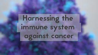 Harnessing the immune system against cancer