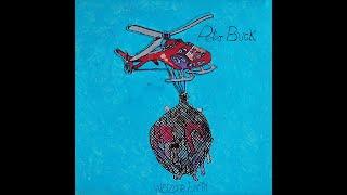 Peter Buck - Warzone Earth (2015)