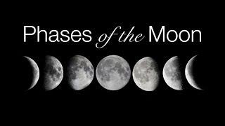 Phases and Motions of the Moon