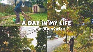 VLOG  Life in New Brunswick (Atlantic Canada)