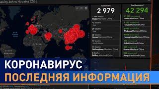 Коронавирус. Ситуация в мире. Последние новости о распространении. Как защититься и чего не бояться?