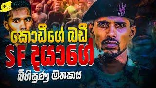 කොඩීගේ බඩී SF දයාගේ බිහිසුණු මතකය | WANESA TV