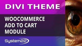 Divi Theme WooCommerce Add To Cart Module