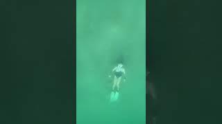 Green Water - Swimming Girl #freediving #travel #shorts