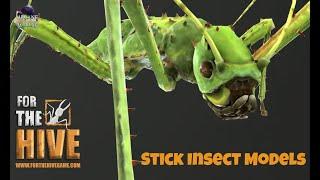 For The Hive Game: New Stick Insect Models!