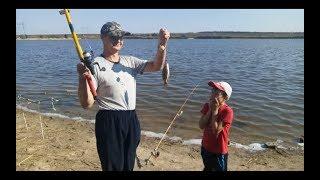 Такого клева карпа еще не видел! С сыном на рыбалке! fishing for carp