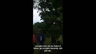 pelajaran dari baju biru viral di tiktok