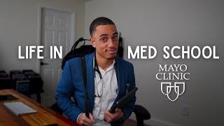 A Full Day In The Life Of A Mayo Medical Student