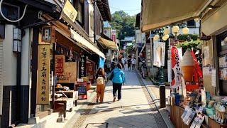 Japan Seaside Walk - Enoshima - My Favorite Daytrip from Tokyo! -  4K 60FPS Binaural Audio - Slow TV