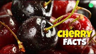 Cherry: Top 7 Amazing Facts About Cherries | Cherry Facts | Info Hifi